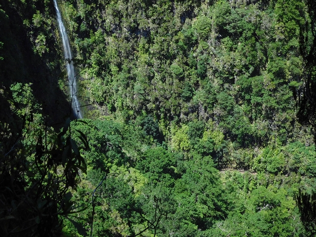Levada do Norte Nord — In the valley of the Ribeira do Inferno: nature in the raw — photo 4