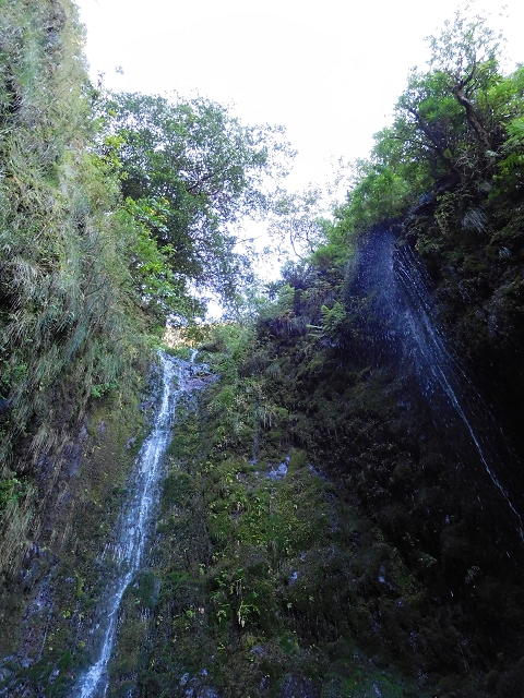 Levada do Norte Nord — In the valley of the Ribeira do Inferno: crossing the eastern arm of the eastern main branch of the Ribeira do Inferno — photo 4