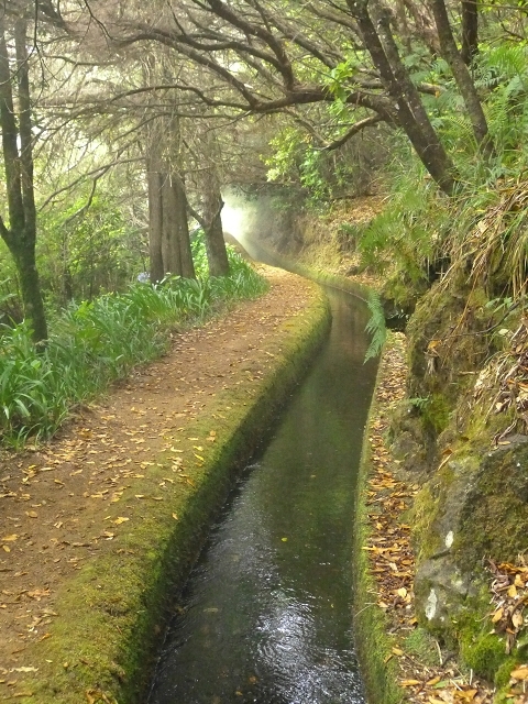 Levada do Norte Nord — Fine levada stretches — photo 1