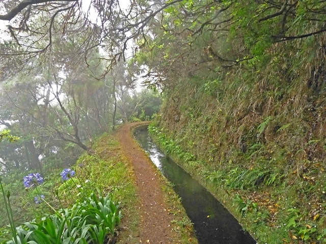 Levada do Norte Nord — Fine levada stretches — photo 2