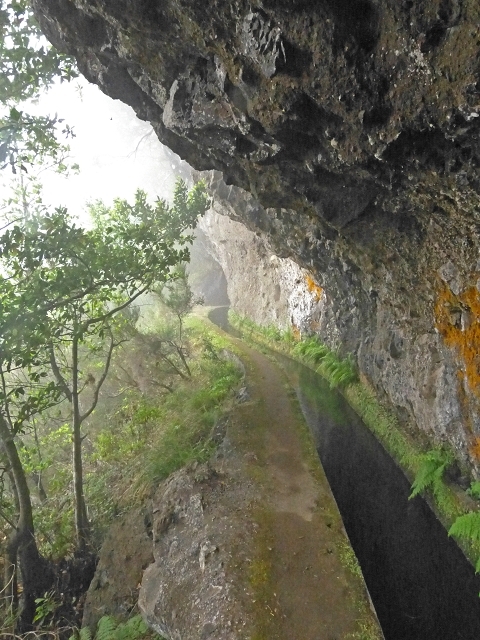 Levada do Norte Nord — Fine levada stretches — photo 3
