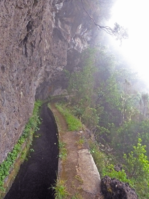 Levada do Norte Nord — Fine levada stretches — photo 4