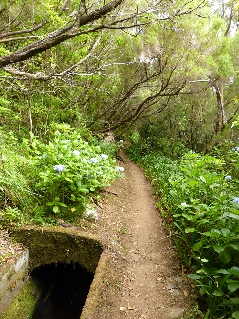 Levada do Norte Nord — Crossing the western arm of the western main branch of the Ribeira da Vargem — photo 6