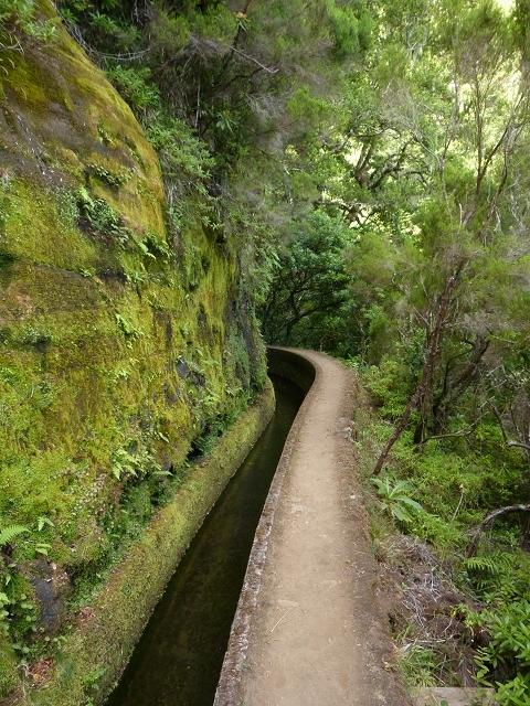Levada do Norte Nord — Crossing the eastern main branch of the Ribeira do Vargem — photo 4