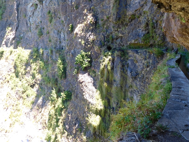 Levada do Norte (Süd) — Abschnitt 2 — Foto 44