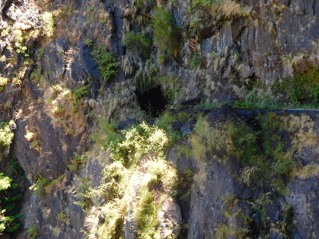 Levada do Norte (Süd) — Abschnitt 2 — Foto 45