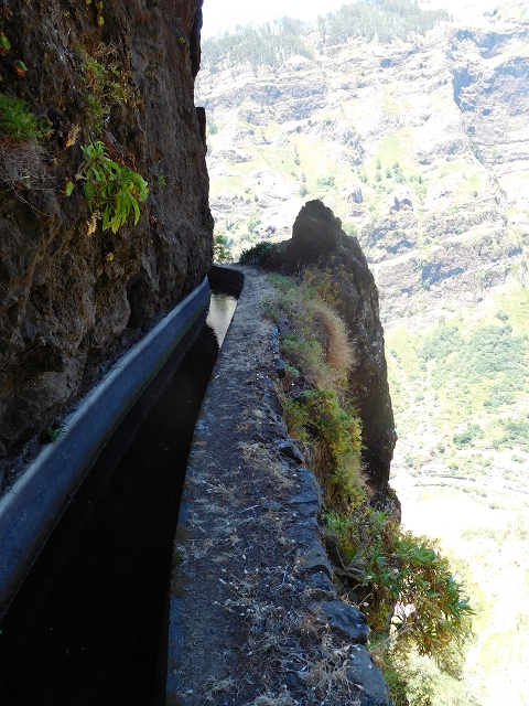 Levada do Norte (Süd) — Abschnitt 2 — Foto 46
