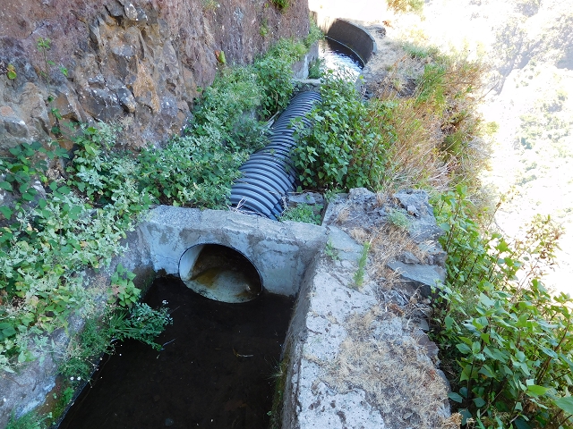 Levada do Norte (Süd) — Abschnitt 2 — Foto 50