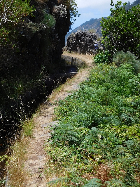 Levada do Norte (Süd) — Abschnitt 2 — Foto 51
