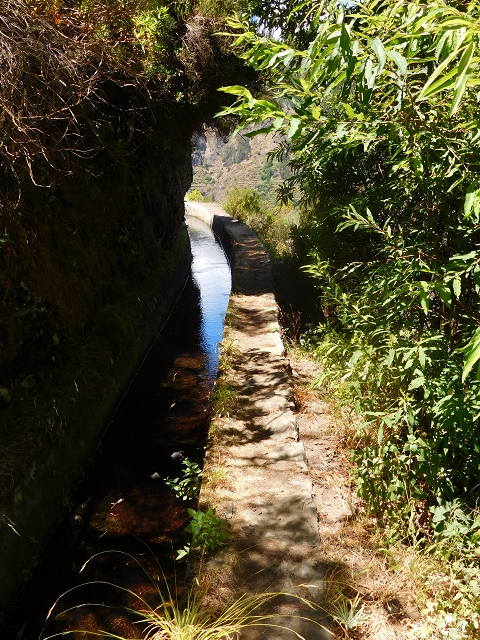 Levada do Norte (Süd) — Abschnitt 2 — Foto 54