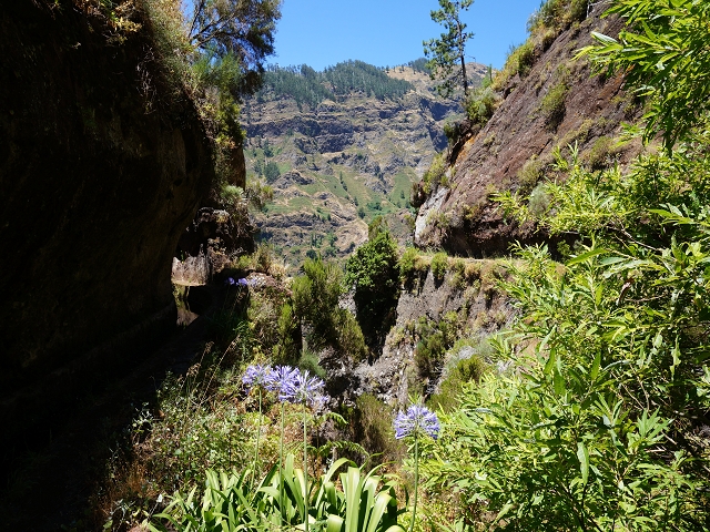 Levada do Norte (Süd) — Abschnitt 2 — Foto 55