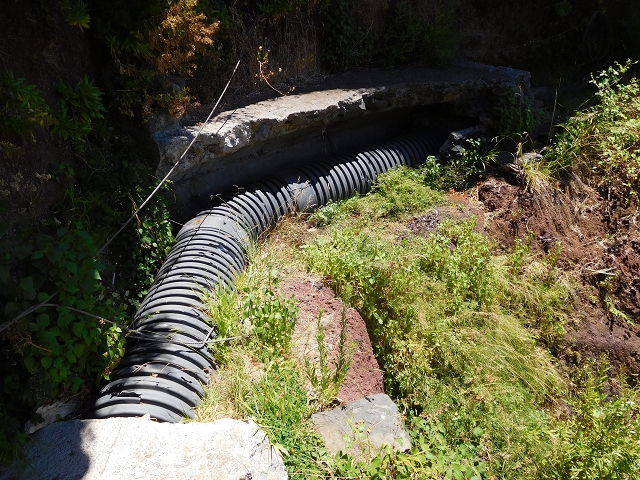 Levada do Norte (Süd) — Abschnitt 2 — Foto 57