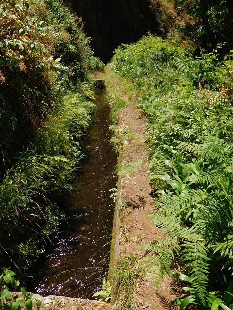Levada do Norte (Süd) — Abschnitt 2 — Foto 59