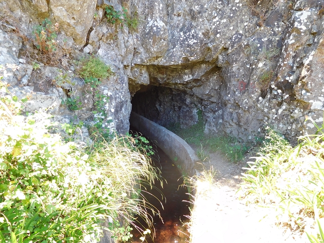 Levada do Norte (Süd) — Abschnitt 2 — Foto 61