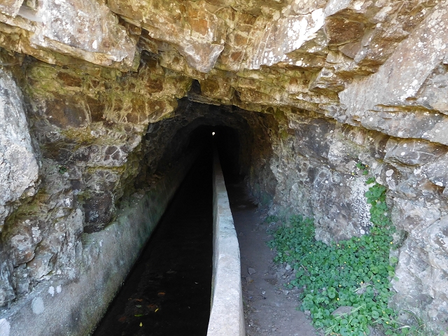 Levada do Norte (Süd) — Abschnitt 2 — Foto 62