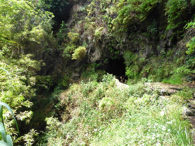 Levada do Norte (Süd) — Abschnitt 3 — Foto 1