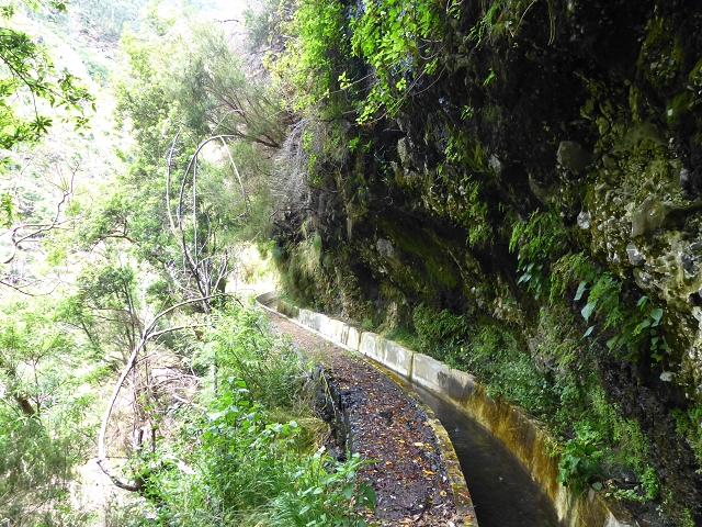 Levada do Norte (Süd) — Abschnitt 3 — Foto 4