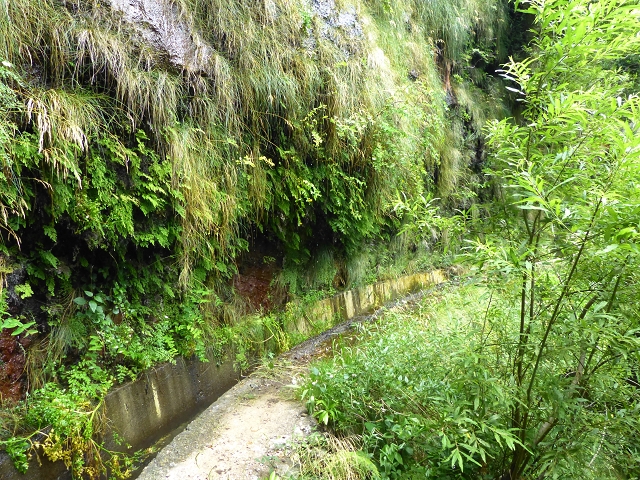 Levada do Norte (Süd) — Abschnitt 3 — Foto 5