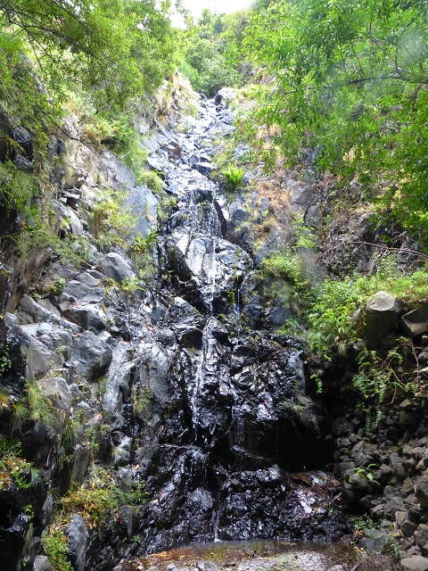Levada do Norte (Süd) — Abschnitt 3 — Foto 7