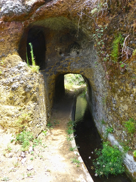 Levada do Norte (Süd) — Abschnitt 3 — Foto 10