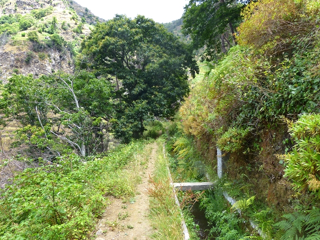 Levada do Norte (Süd) — Abschnitt 3 — Foto 11