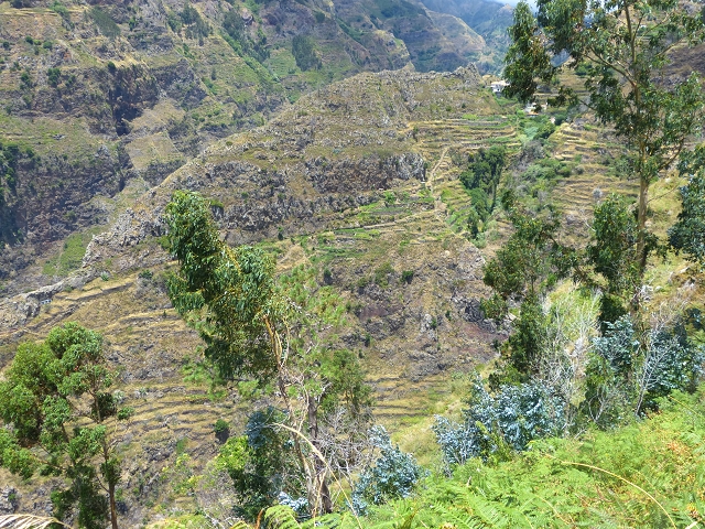 Levada do Norte (Süd) — Abschnitt 3 — Foto 16