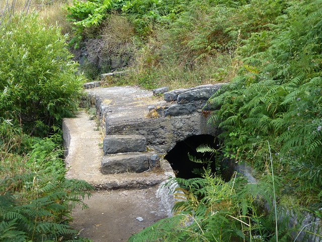 Levada do Norte (Süd) — Abschnitt 3 — Foto 18