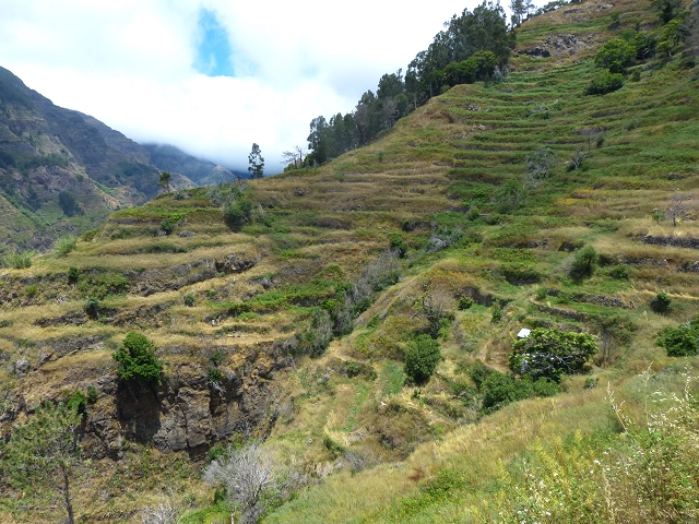 Levada do Norte (Süd) — Abschnitt 3 — Foto 19