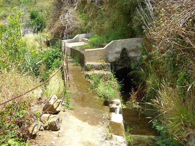 Levada do Norte (Süd) — Abschnitt 3 — Foto 25