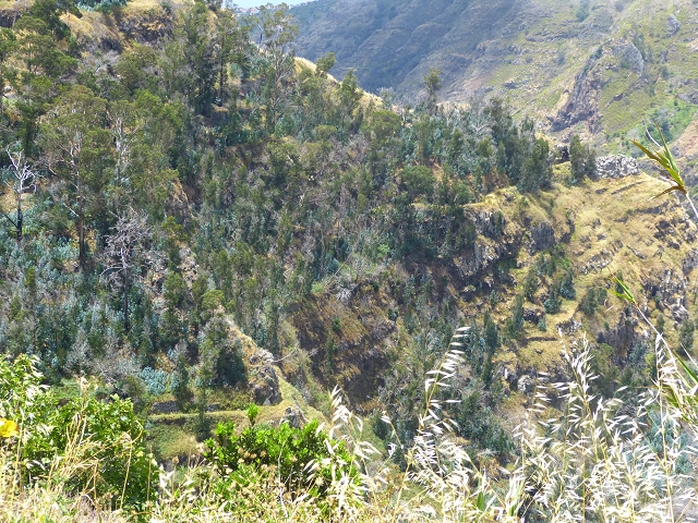 Levada do Norte (Süd) — Abschnitt 4 — Foto 1