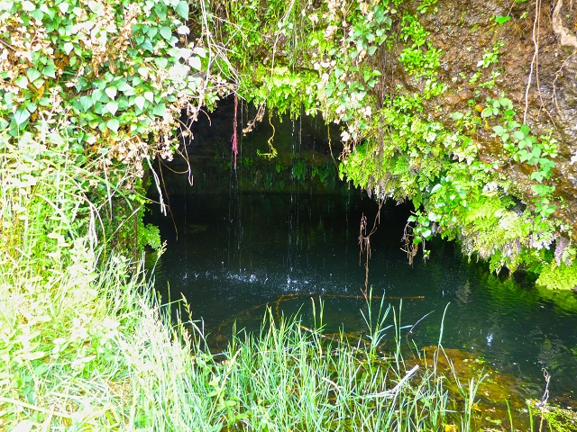 Levada do Norte (Süd) — Abschnitt 4 — Foto 2