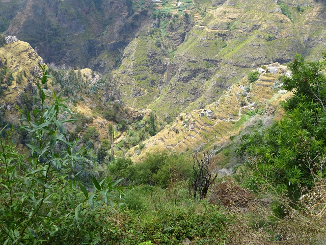 Levada do Norte (Süd) — Abschnitt 4 — Foto 3