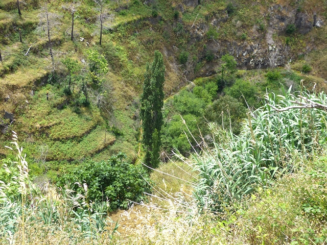 Levada do Norte (Süd) — Abschnitt 4 — Foto 4