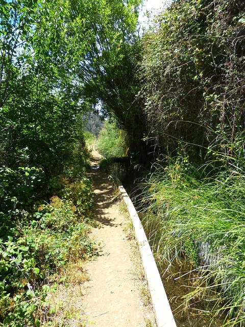 Levada do Norte (Süd) — Abschnitt 4 — Foto 6