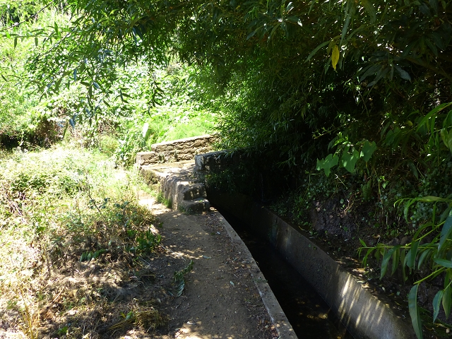 Levada do Norte (Süd) — Abschnitt 4 — Foto 7