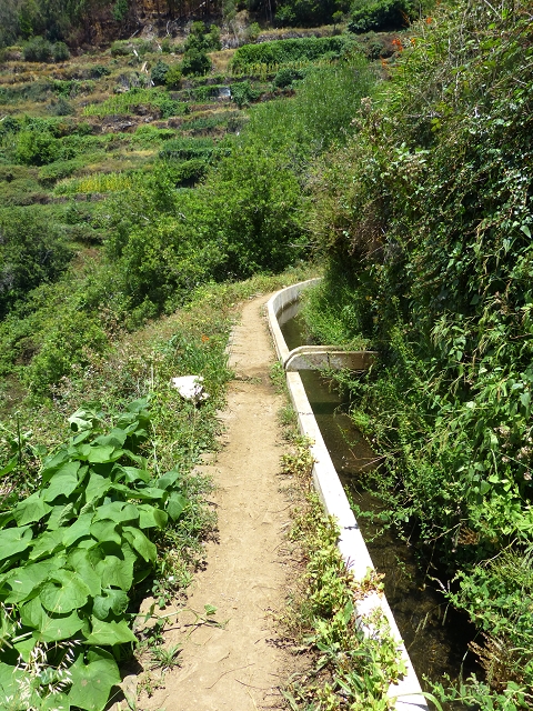 Levada do Norte (Süd) — Abschnitt 4 — Foto 8