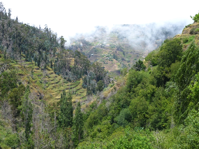 Levada do Norte (Süd) — Abschnitt 4 — Foto 10