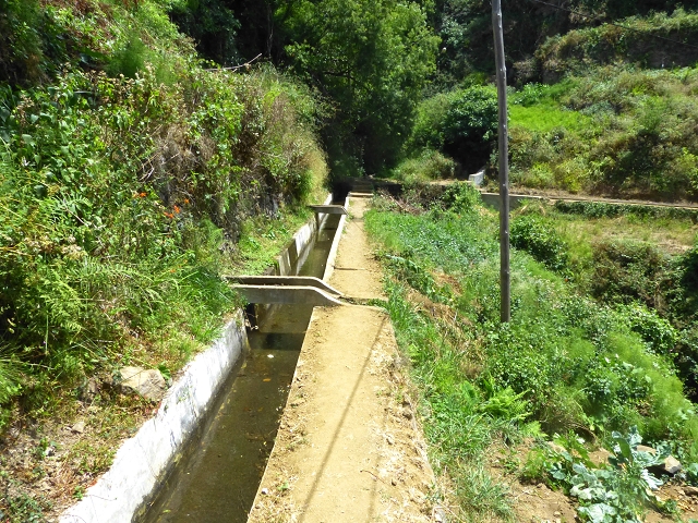 Levada do Norte (Süd) — Abschnitt 4 — Foto 13