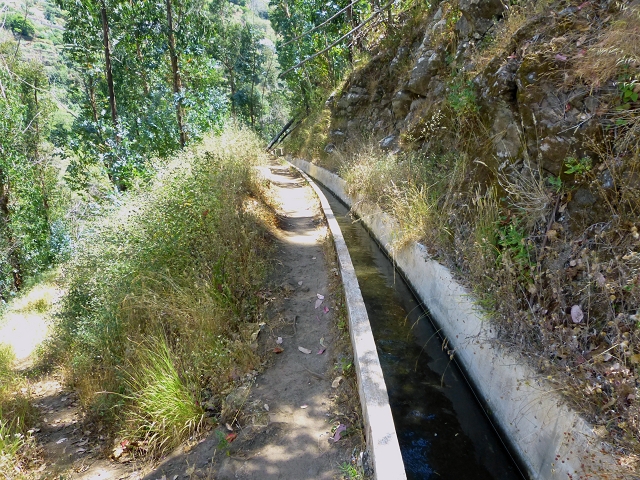 Levada do Norte (Süd) — Abschnitt 4 — Foto 14