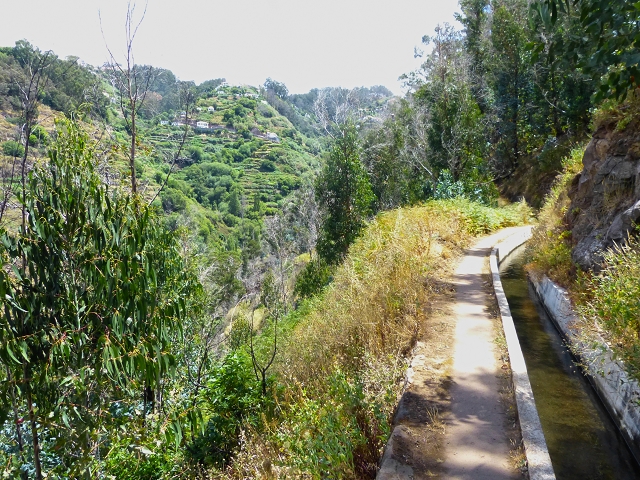 Levada do Norte (Süd) — Abschnitt 4 — Foto 16