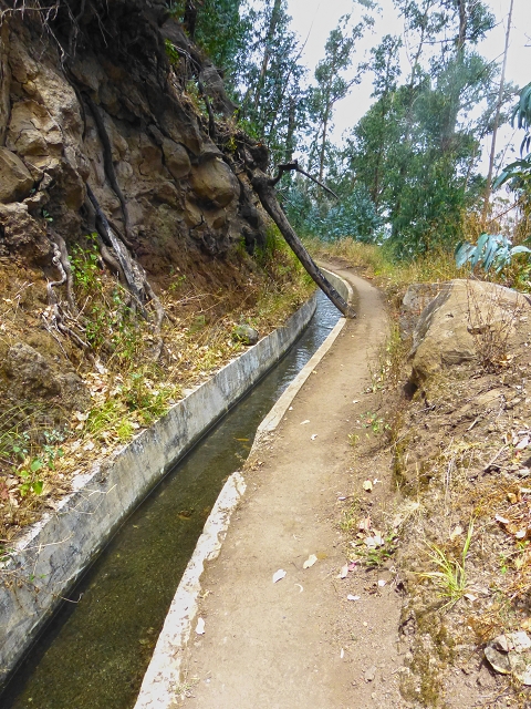 Levada do Norte (Süd) — Abschnitt 4 — Foto 17