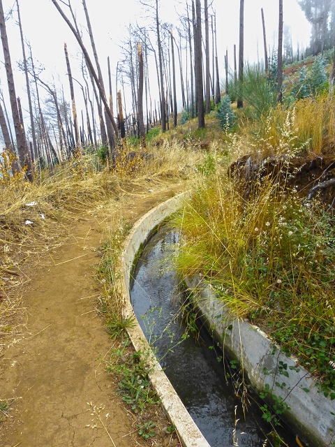 Levada do Norte (Süd) — Abschnitt 4 — Foto 19