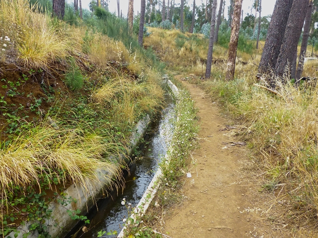 Levada do Norte (Süd) — Abschnitt 4 — Foto 20