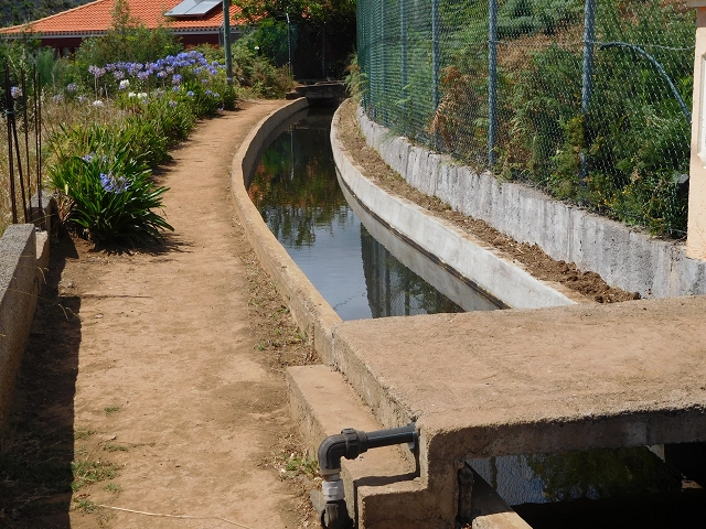 Levada do Norte (Süd) — Abschnitt 4 — Foto 21