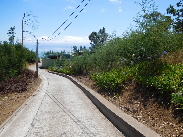 Levada do Norte (Süd) — Abschnitt 4 — Foto 24