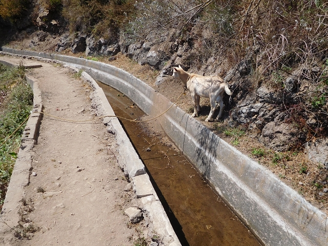 Levada do Norte (Süd) — Abschnitt 5 — Foto 2