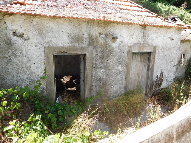 Levada do Norte (Süd) — Abschnitt 5 — Foto 3