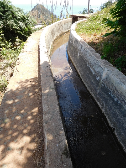 Levada do Norte (Süd) — Abschnitt 5 — Foto 6