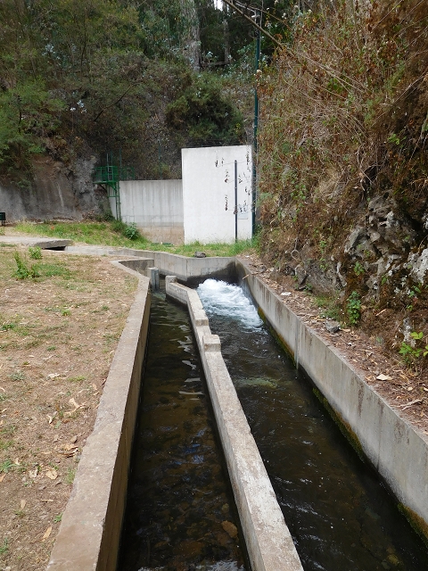 Levada do Norte (Süd) — Abschnitt 5 — Foto 16