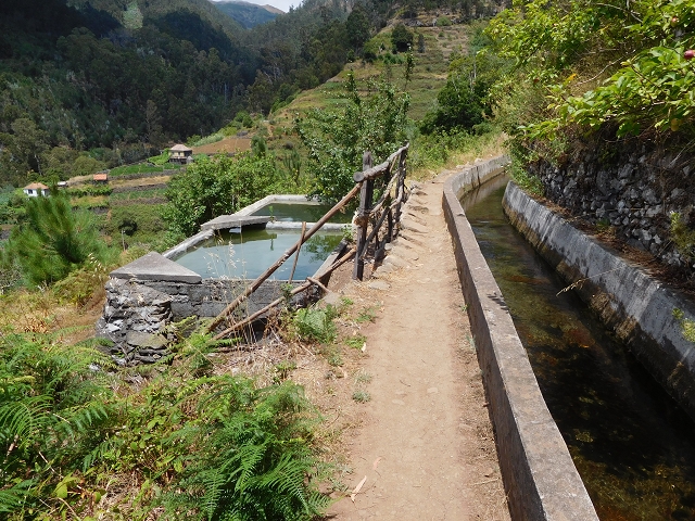 Levada do Norte (Süd) — Abschnitt 5 — Foto 22
